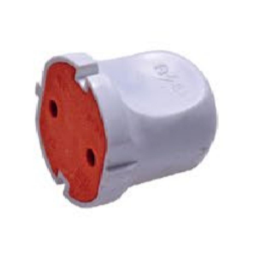 ASEL DİŞİ FİŞ MİMOZA 0409  *50