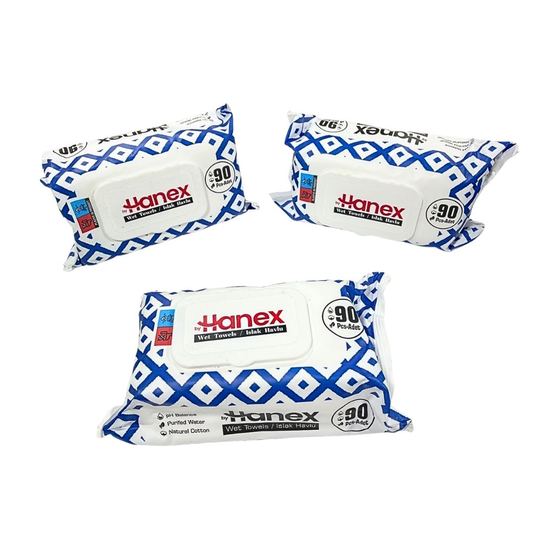 BYHANEX HNX-4023 90LI KAPAKLI ISLAK MENDİL*24