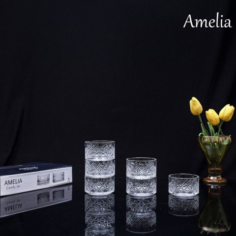 RAYAN 6 LI AMELIA KASE 2 (LINES)*12